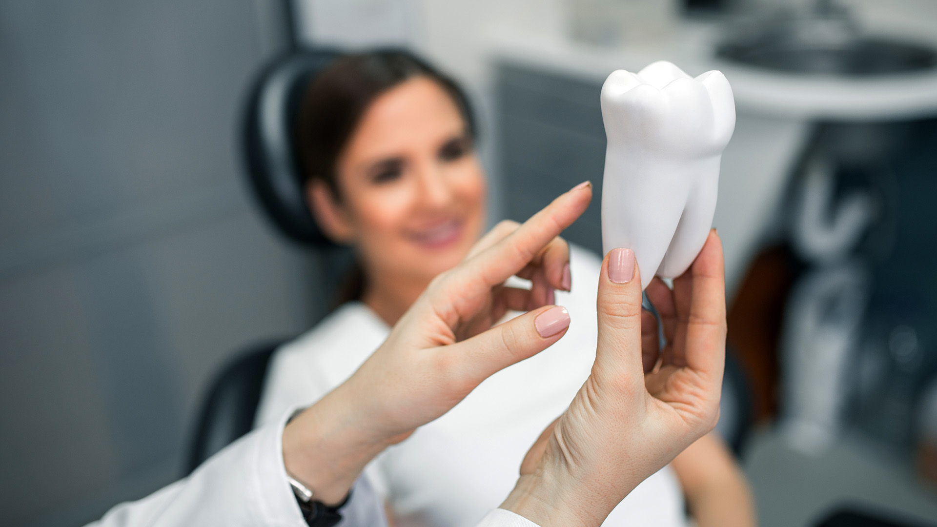 A dental professional holds up a model tooth with a magnifying glass, showcasing its details for educational purposes.