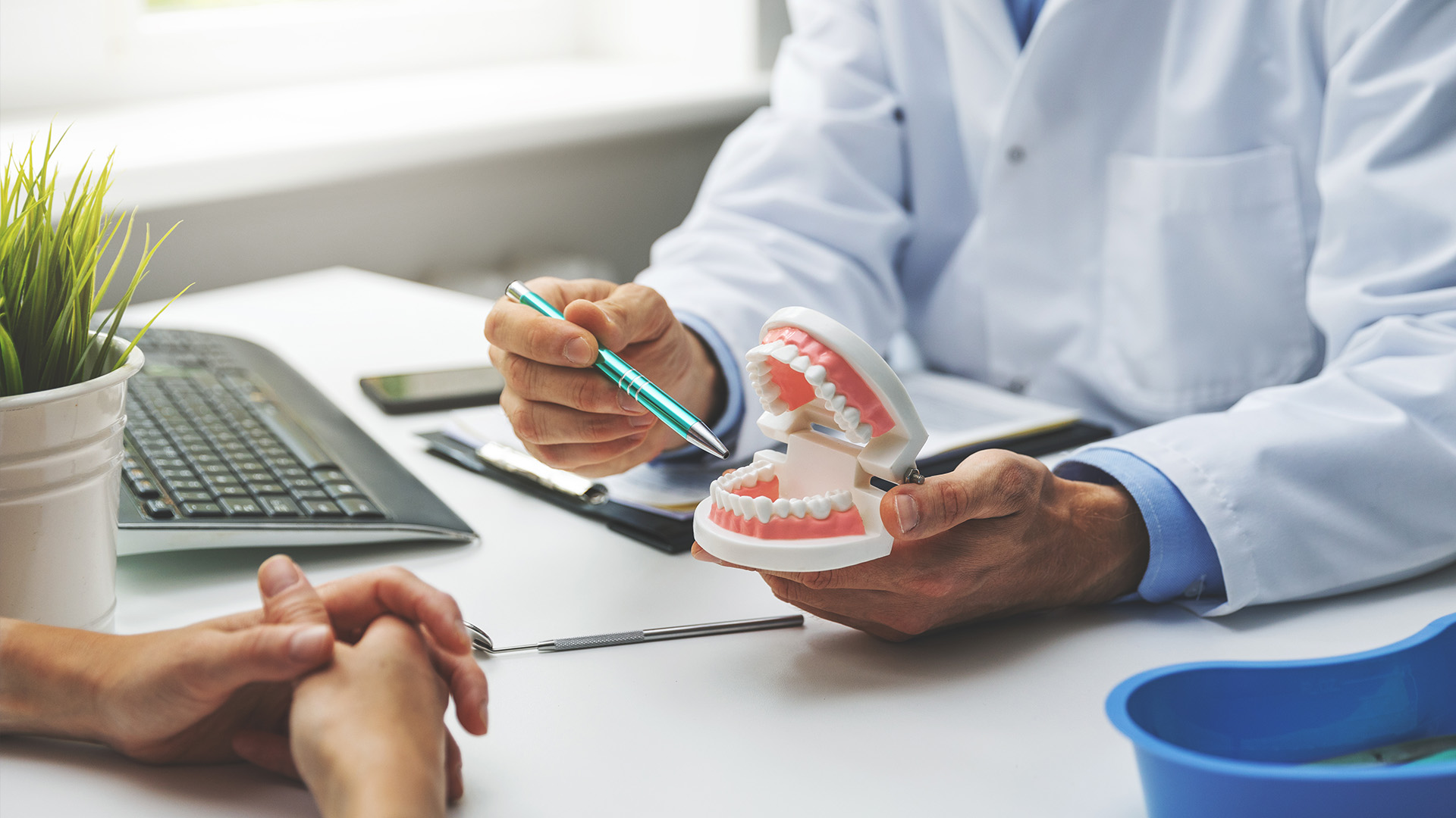 A dental professional holding a model set of teeth while seated at a desk with a patient, both in a clinical setting.