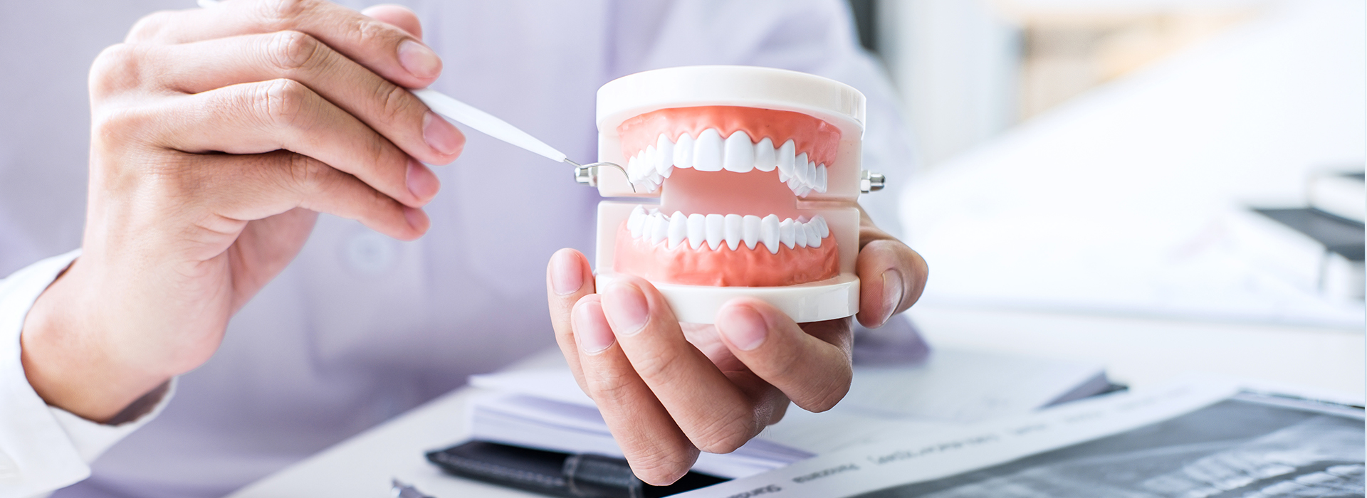 An individual holding a cup with a tooth model inside, while another person s hands are seen writing on paper.