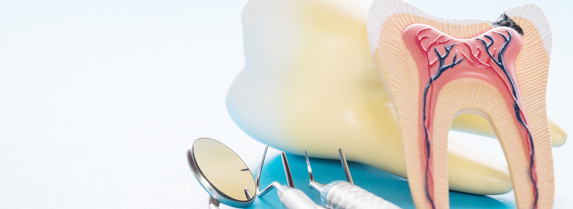The image shows a toothbrush with a toothpaste tube resting on a surface next to a dental model with an open mouth, displaying the inside structure of teeth and gums, along with a tongue depressor.